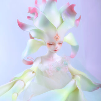 DollZone Ansom (Limit 30)