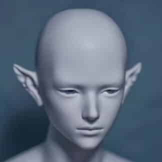 Doll Family-A 75cm Merman (head)