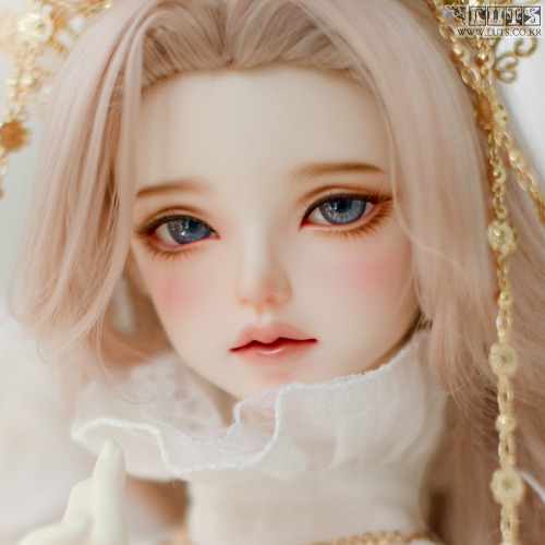 LUTS Senior Delf MUSE REMI