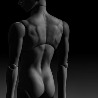 Withdoll [SWD] 70cm Boy Body (2024 Ver.)