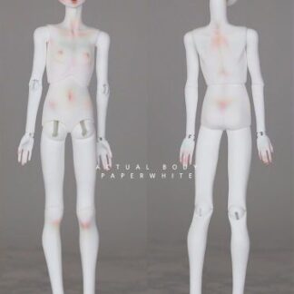 Project Delta ACTUAL Body