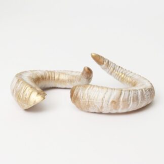 SartoriaJ Ram Horns (SD)