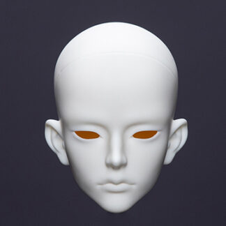 Dream Valley Morgan (head)