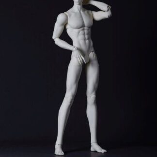 Dream Valley B75-02 Body