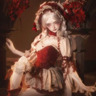 DollZone Rosa's Outfit