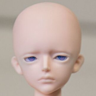 Project Delta Argo (head)