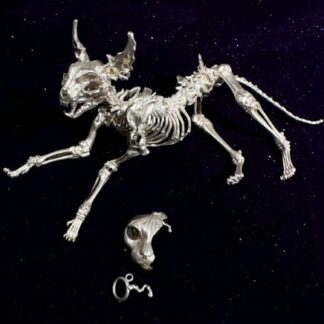Minstrel Painting Articulated Jewelry: Skeletal Cat Pendant (925 sterling silver)