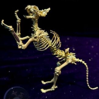 Minstrel Painting Palm Pet Brass Skeletal Cat