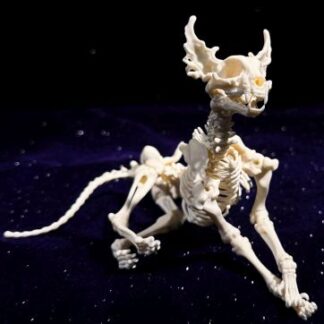 Minstrel Painting Skeletal Cat